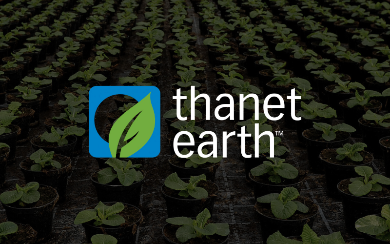 Thanet Earth