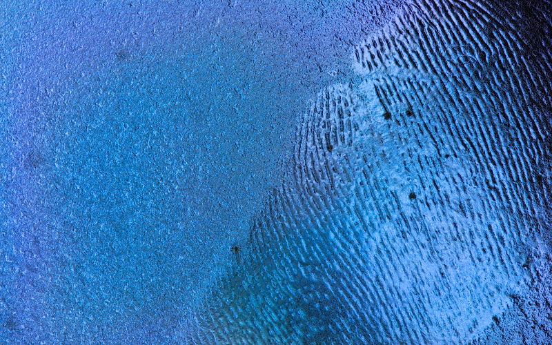 News Medical Life Sciences Experimental fingerprint test can accurately identify traces of cocaine on human skin